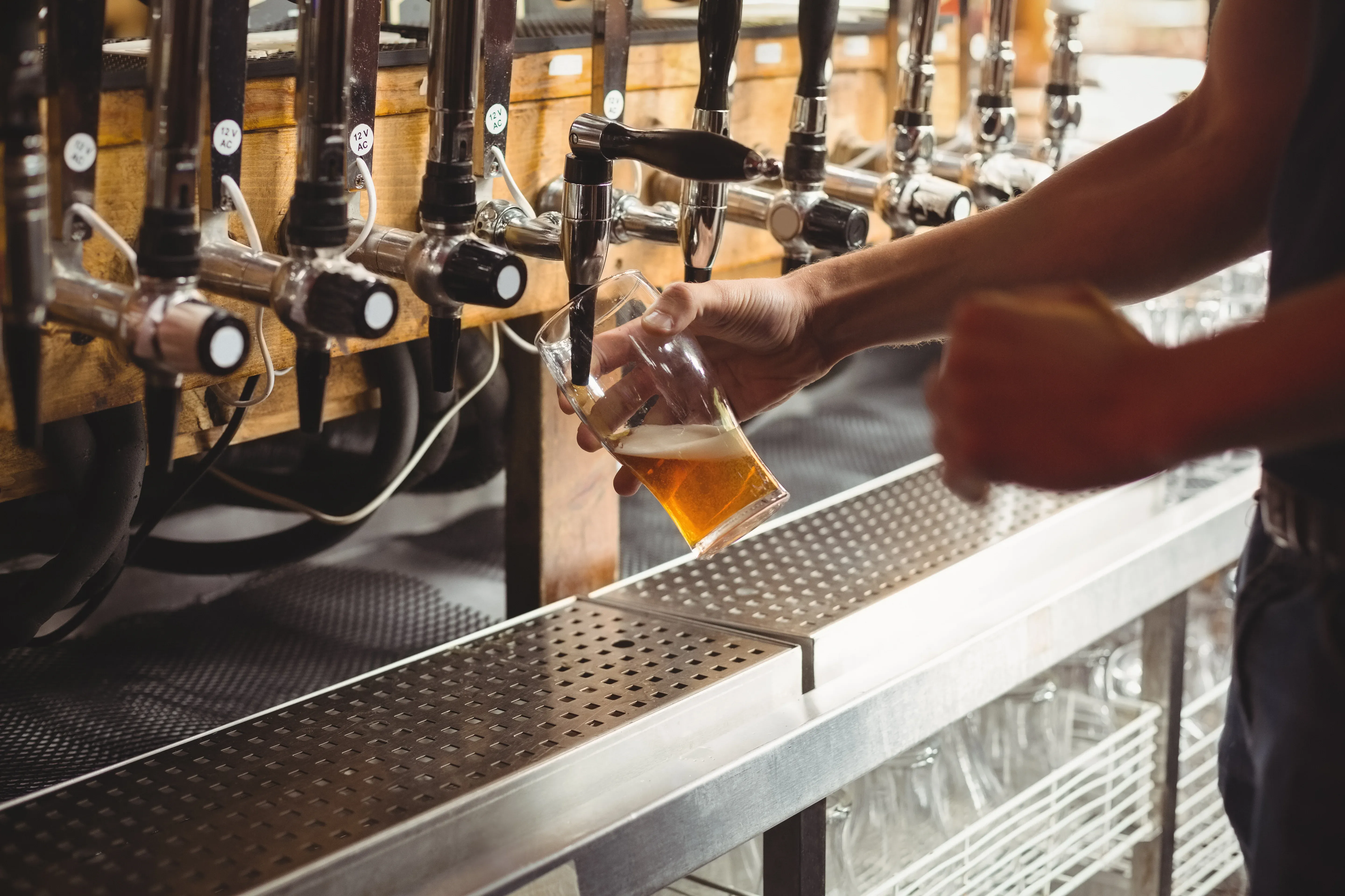 What Really Happens Inside a Modern Beer Manufacturing Plant? From Grain to Packaged Beer